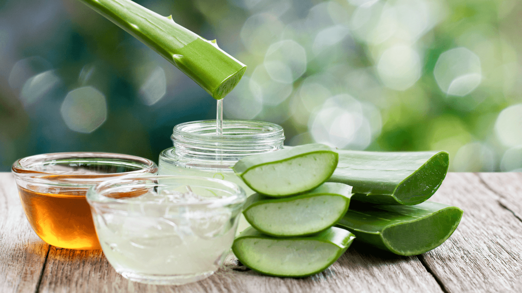 Aloe Vera: Why OM Botanical Chooses Nature’s Prebiotic Powerhouse Over Plain Old H2O - OM Botanical