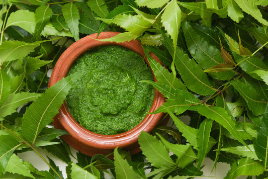 Unlocking the Wonders of Neem: An Ayurvedic Superstar