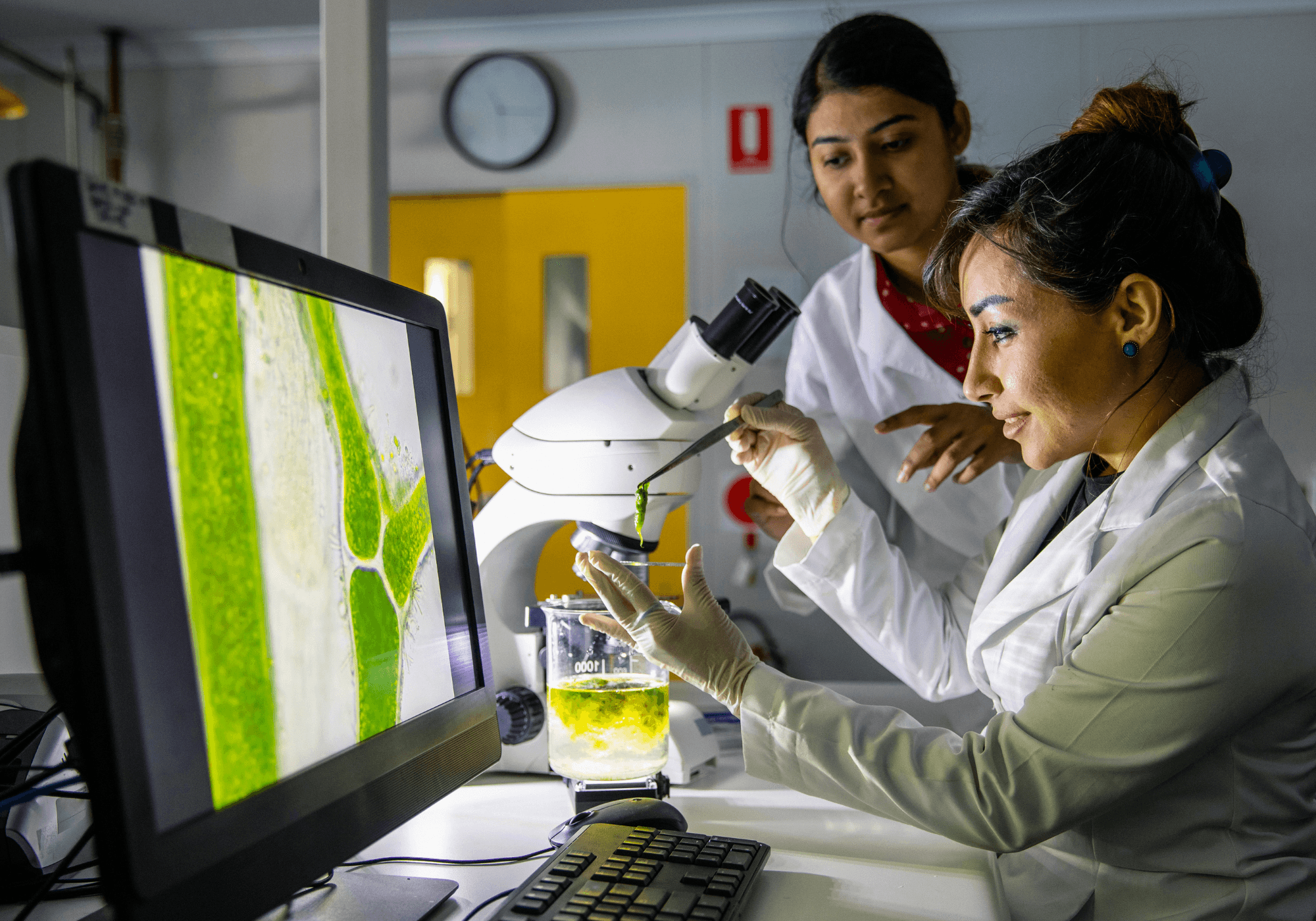 Where Ayurveda Meets Science: High Performance Plant-based Skincare - OM Botanical