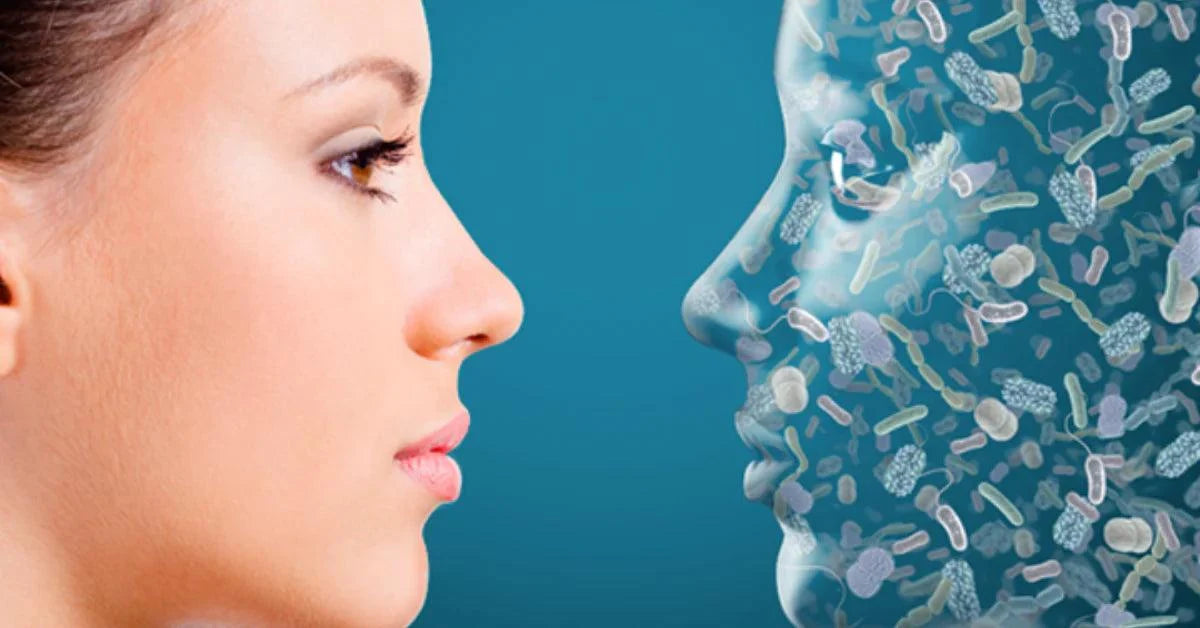 The Importance of a Healthy Skin Microbiome - OM Botanical