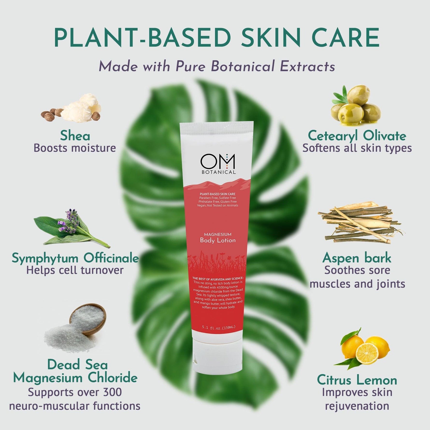 Magnesium Body Lotion - OM Botanical  